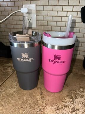 Stanley Double Tumbler Set in Gray & Hot Pink